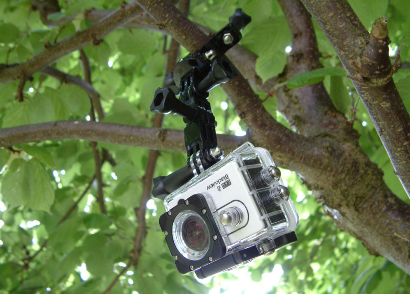 The BlackView Hero 2 mounted on to a hazel tree with the included accessories