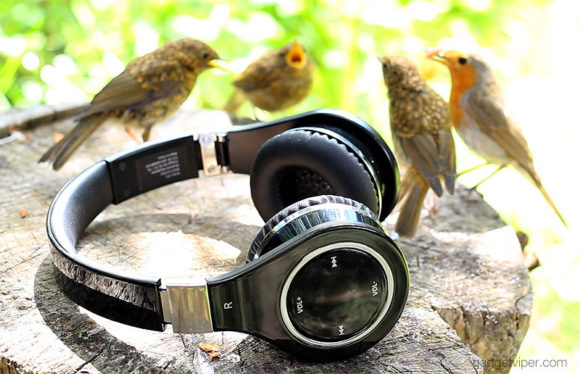 A family of Robins discussing the pro's and cons of the Mixcder Bluetooth headphones
