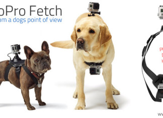 GoPro Fetch – A GoPro Dog Mount camera harness The GoPro Fetch camera mount for dogs